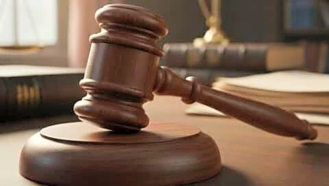 Delhi court imposes ₹20,000 costs over faulty AI petition