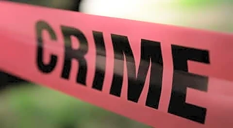 Priest discovers Mumbai's Lalbaug Jain temple idol robbed, ₹1.75cr stolen