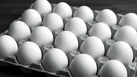 Uttar Pradesh mandates production and expiration dates on eggs