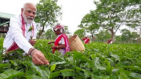 Narendra Modi stopped by Dibrugarh tea garden, praised workers' dedication