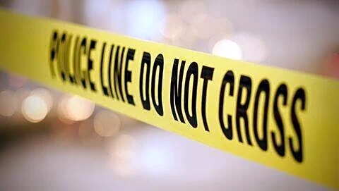 Kushinagar tractor trolley accident kills woman, injures about 20