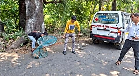 Naigaon dog bites at least 8 after Good Friday prayers