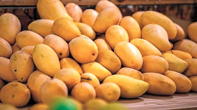 Hyderabad police launch crackdown on illegal mango ripening agents