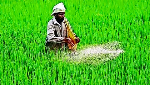 Indian embassies seek fertilizer alternatives amid West Asia conflict