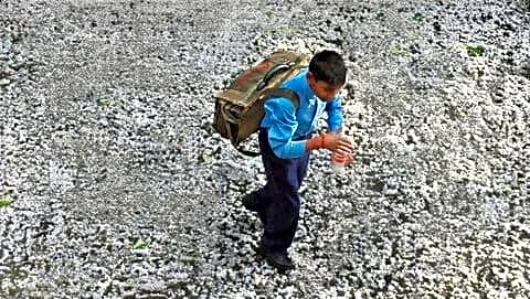 IMD warns of April 6 hail, thunder squalls across India