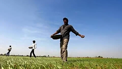 India gears up to import 2.5 million metric tons urea