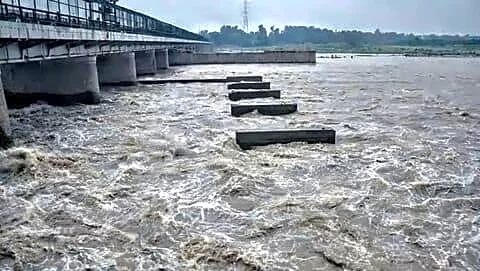 Gurugram responsible for about 70% of Yamuna pollution before Delhi