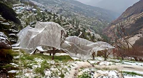 IMD issues orange alert in Himachal Pradesh for rain, snow