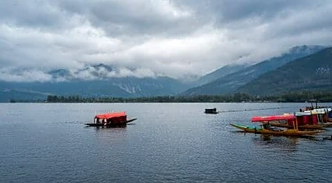 Western disturbance brings rain and snow across Jammu and Kashmir