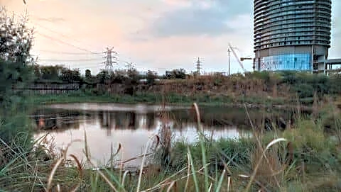 Amity University student Harshit Bhatt found dead in Noida pond