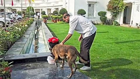 Bomb threat email prompts major security operation across Delhi sites