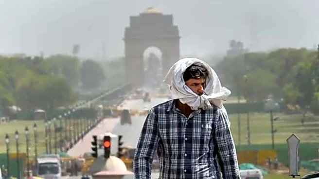 Thunderstorms, scattered rain likely in northeastern, southern India: IMD