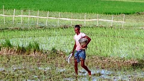 Forecasters flag possible super El Nino affecting India's monsoon