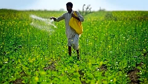 Weaker monsoon at 92% threatens nearly half of India's farmland