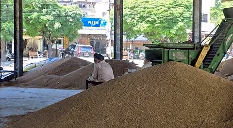 Punjab farmers delay rail blockade to allow faster wheat procurement