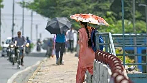 Study finds Delhi average land temperature rose 2.9°C since 2015