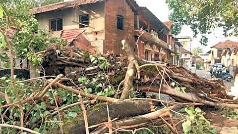 Mangaluru thunderstorm damages homes and vehicles, no injuries reported