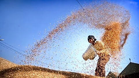 IMD issues early heat wave alert for Punjab and Haryana