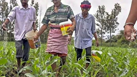 India to import 2.5m tons urea after Middle East conflict