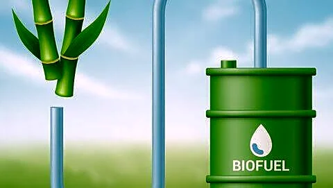 India seeks higher ethanol blends after cutting Hormuz oil imports