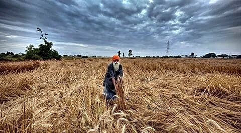Punjab unveils ₹123.28cr aid for hailstorm-wrecked farmers across 7 districts