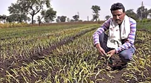 Maharashtra announces ₹27,000cr loan waiver under Punyashlok Ahilyadevi Holkar scheme