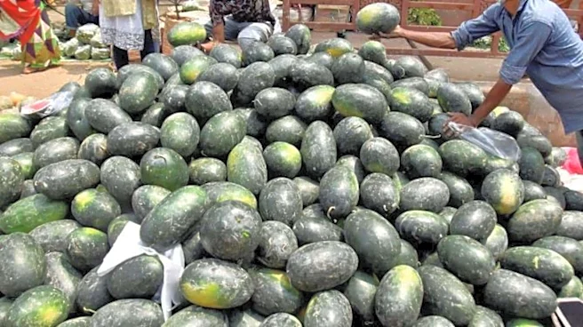 4 Mumbai family members die suddenly after eating watermelon