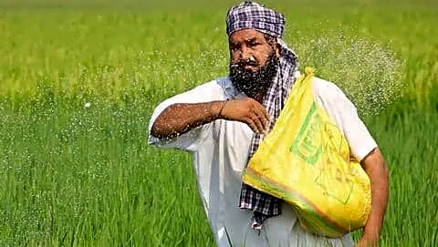 Indian government says urea and DAP prices will stay steady