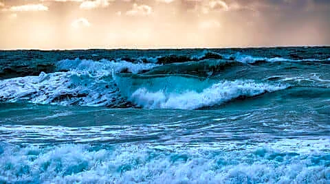 INCOIS warns marine heatwaves threaten Arabian Sea corals and fisheries