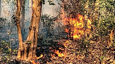 Uttarakhand forest fires spread over 130 hectares threatening Char Dham