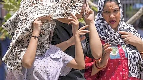 Delhi's civic body rolls out heat wave action plan 2026