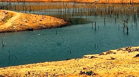 El Nino likely to weaken 2026 Indian monsoon and crops