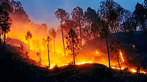 Madhya Pradesh reports over 634 big fires amid heat wave