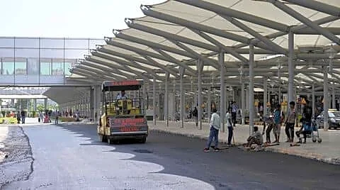 Delhi court orders fresh probe into dogs missing near IGI