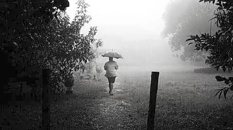 IMD warns of heavy rain in eastern and northeastern states