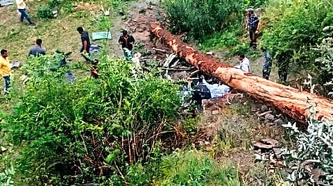 Teachers killed in Kullu after tree toppled onto car