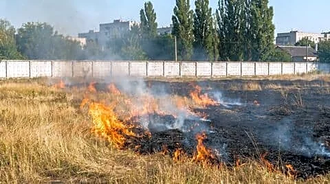 Punjab farm fires spike to over 2,400 amid stubble burning