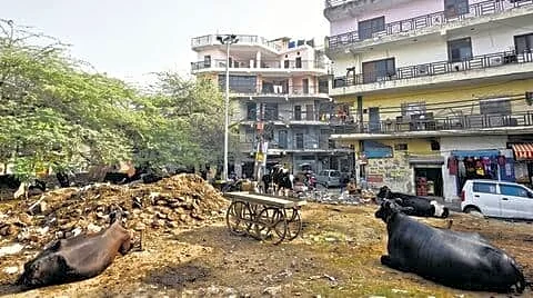 MCD standing committee approves urban classification for 48 Delhi villages