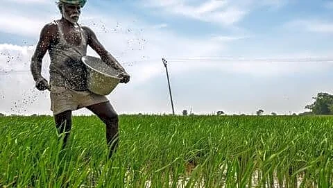 India to import record 1.35 million tons of DAP fertilizer