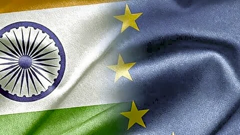 EU draft restores India's aquaculture exports after meeting antimicrobial standards