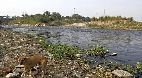 Delhi allocates ₹28.8cr for in-situ cleaning of Yamuna drains