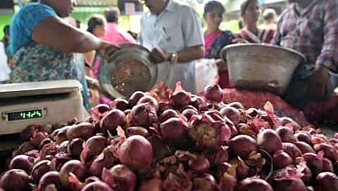 Shivraj Singh Chouhan will buy onions directly from farmers ₹12.35/kg