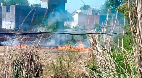 Punjab's farm fires surge to over 9,000 by May 15