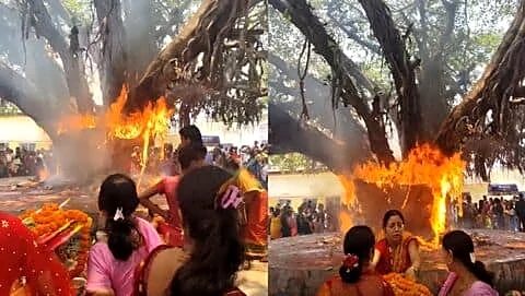 Banyan tree in Fatuha catches fire during Vat Savitri puja