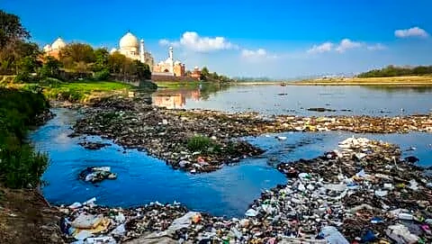 Yamuna still polluted by untreated sewage from Delhi, Gurugram, Faridabad