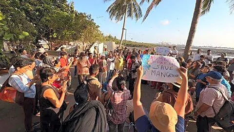 About 100 people at Carter Road protest 45,000 mangrove cuts