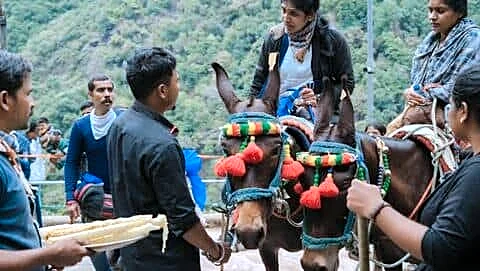 Video shows woman threatening mule handler on Kedarnath Temple route