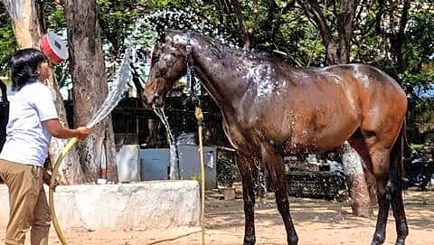 Telangana, Andhra Pradesh under severe heatwave with red alerts
