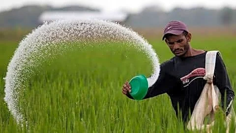 Fertilizer shortage and weak monsoon cloud India's 2026 kharif sowing
