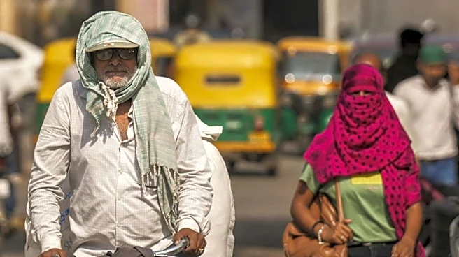 Telangana heatwave deaths: Government announces ₹4 lakh ex gratia